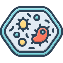 Icon 1